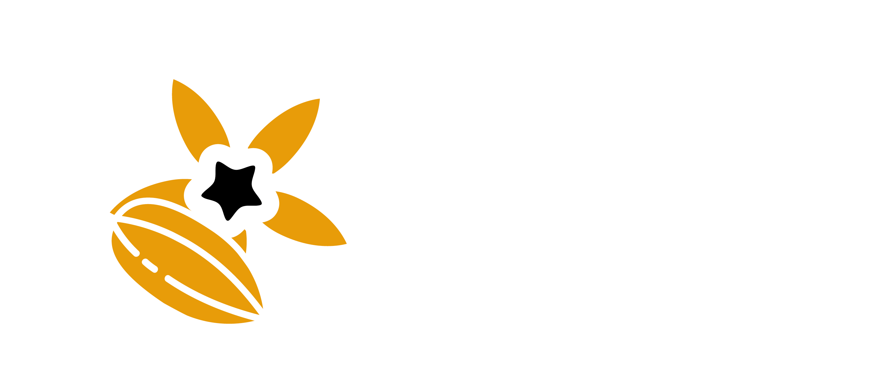 E&M Vanilla